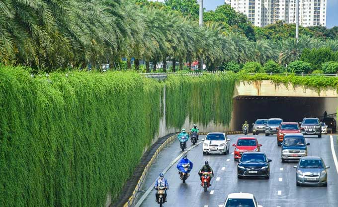 Con đường bức tường xanh đẹp như trên phim ở Hà Nội