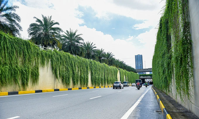 Con đường bức tường xanh đẹp như trên phim ở Hà Nội