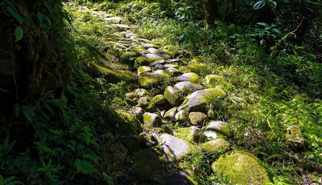 Con đường đá trăm tuổi xuyên rừng ở miền Bắc: Mang dấu ấn lịch sử, du khách nhận xét như cổ tích