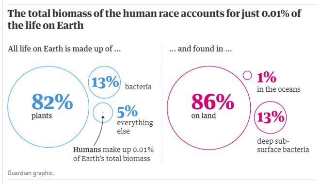 Con người chỉ chiếm 0,01% sự sống trên Trái đất nhưng lại hủy diệt 83% các loài khác