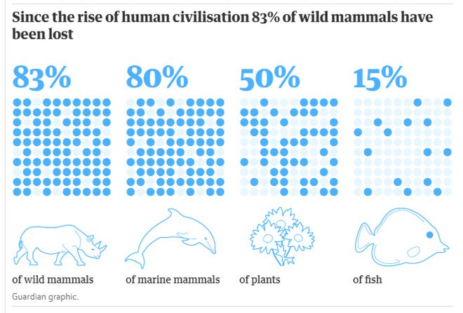 Con người chỉ chiếm 0,01% sự sống trên Trái đất nhưng lại hủy diệt 83% các loài khác
