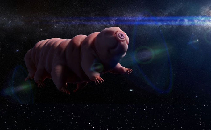 Con người sẽ bị lai tạo với quái vật bất tử tardigrade?