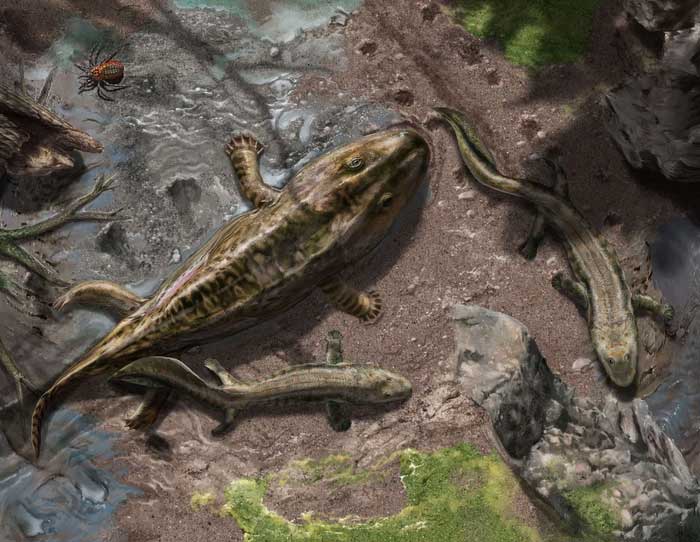 Con người từng phát hiện ra những sinh vật tiền sử kỳ lạ nào?