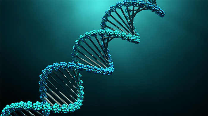 Công nghệ DNA mới khiến chúng ta phải vẽ lại cây tiến hóa