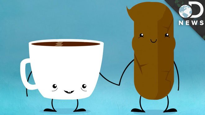 Cứ 3 người uống cà phê thì có 1 người buồn đại tiện: Tại sao lại vậy?