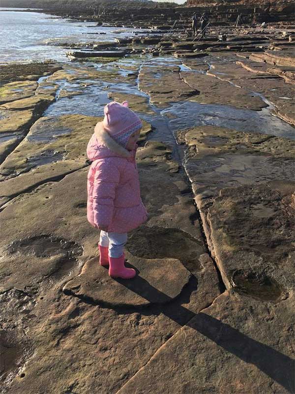 Dạo biển, bé gái 4 tuổi phát hiện báu vật 220 triệu năm