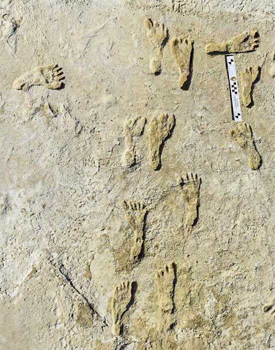 Dấu chân người cổ đại Bắc Mỹ được tìm thấy ở tiểu bang New Mexico