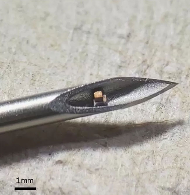Đây là con chip siêu nhỏ nằm gọn trong kim tiêm, dùng để theo dõi bên trong cơ thể