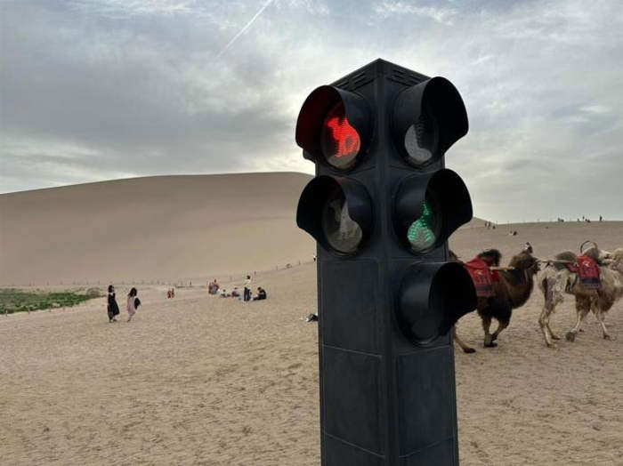 Đèn giao thông dành cho lạc đà giữa sa mạc Trung Quốc