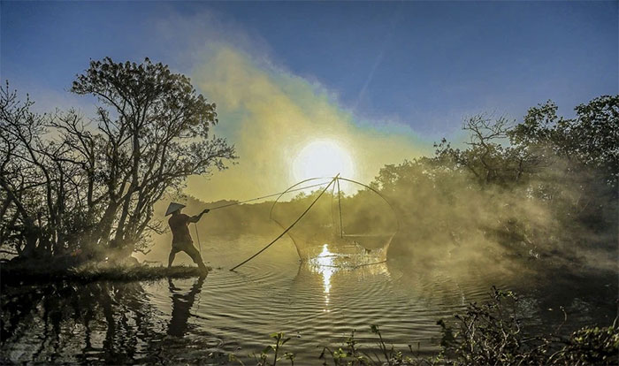 Đẹp mê mẩn rừng ngập mặn Huế mùa thay lá