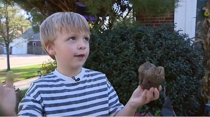 Đi chơi, bé 6 tuổi phát hiện hóa thạch quái thú kỷ băng hà