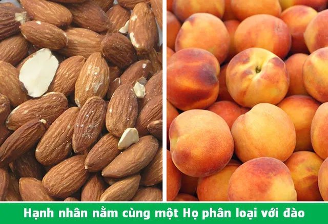 Đi từ ngạc nhiên này đến ngạc nhiên khác với những điều lý thú về vạn vật