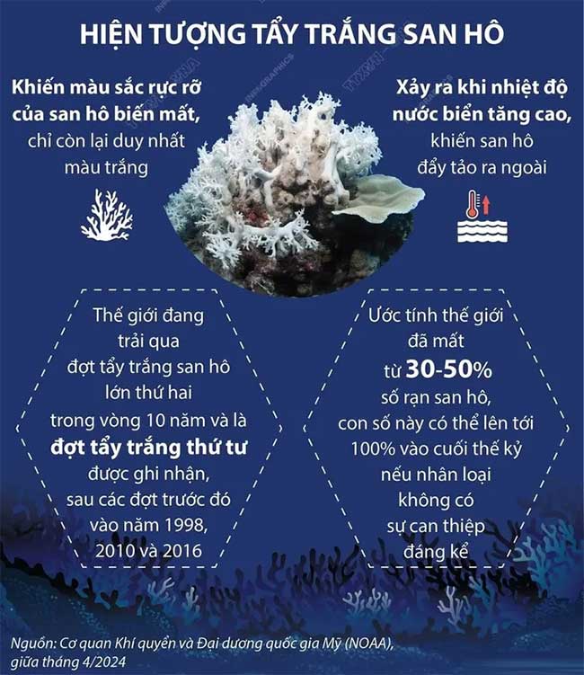 Điều cần biết về các rạn san hô trên thế giới