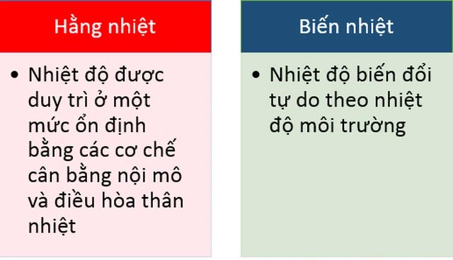 Điều gì sẽ xảy ra nếu con người là... động vật máu lạnh?