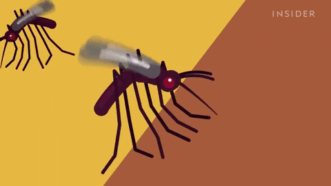 Điều gì sẽ xảy ra nếu tất cả côn trùng biến mất và bạn sẽ không bắt gặp gián, ruồi, muỗi nữa?