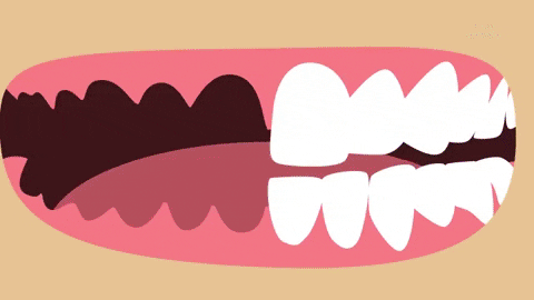 Điều gì xảy ra nếu bạn ngừng đánh răng?