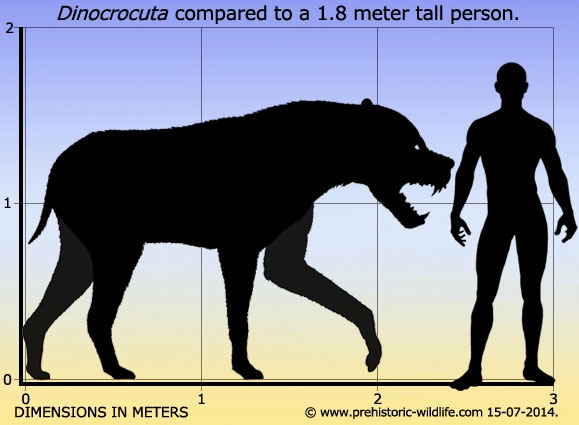 Dinocrocuta: Loài linh cẩu được mệnh danh là quái thú săn tê giác