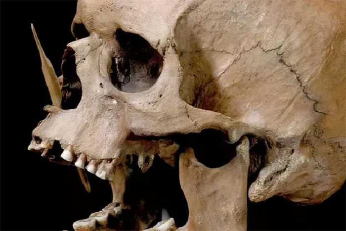 DNA cổ đại tiết lộ về cuộc diệt chủng bi thảm trong quá khứ loài người
