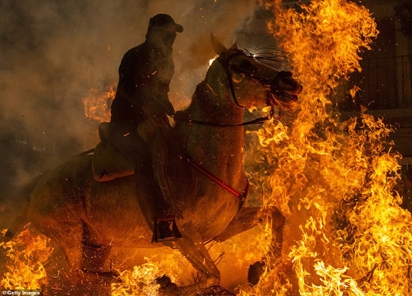 Độc đáo lễ hội thanh tẩy ngựa ở Tây Ban Nha