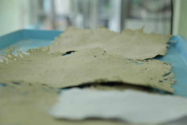 Độc đáo loại giấy làm từ... phân voi