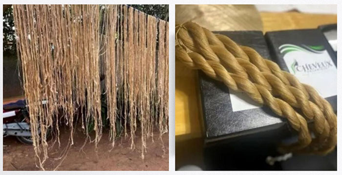 Độc đáo loại tóc giả làm từ thân chuối tại châu Phi