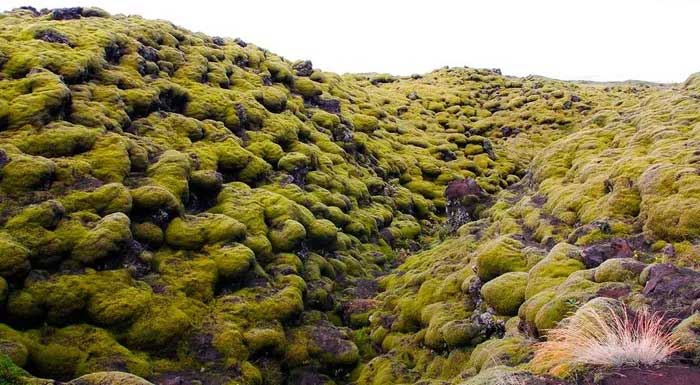 Dòng nham thạch có một không hai của Iceland