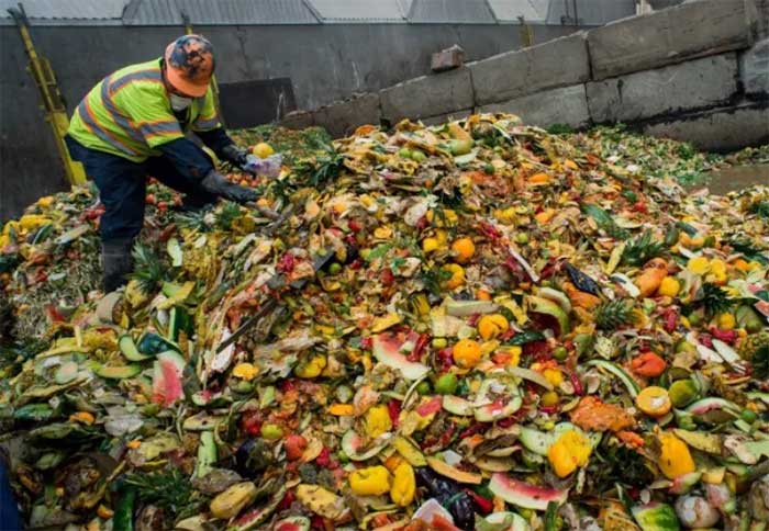 Dubai biến rác thải thực phẩm thành phân bón tăng màu mỡ đất