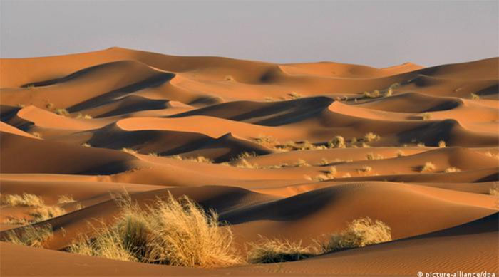 Dùng radar đo độ sâu sa mạc Sahara, các nhà khoa học phát hiện ra thứ khổng lồ bên dưới