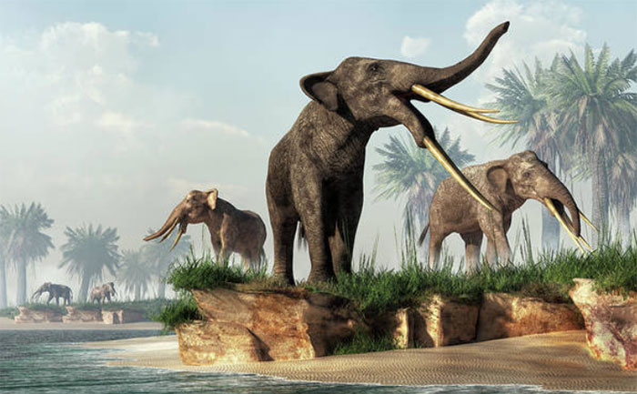 Giả thuyết về loài voi cổ đại tuyệt chủng ở Chile