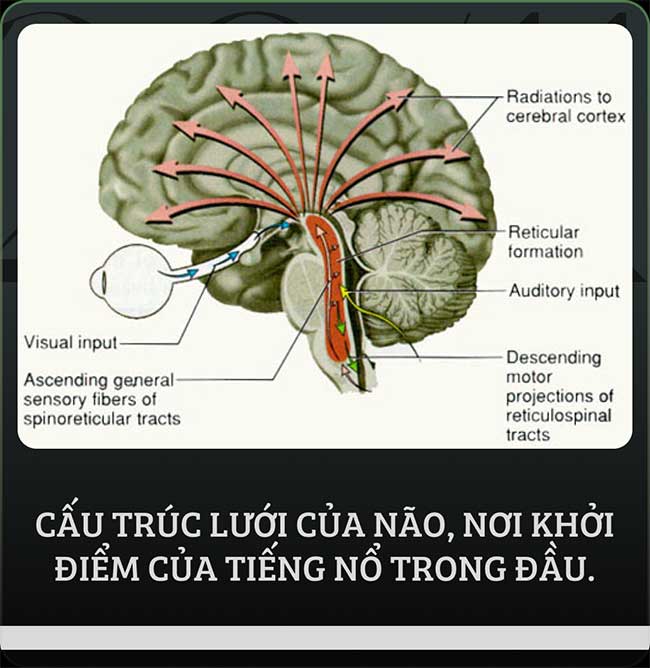 Giấc mơ mặc khải của Descartes: Thứ mở ra toàn bộ hình học giải tích không gian và nền triết học cho nhân loại