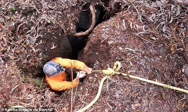 Giải cứu chú chó mắc kẹt suốt 2 ngày trong khe nứt núi lửa