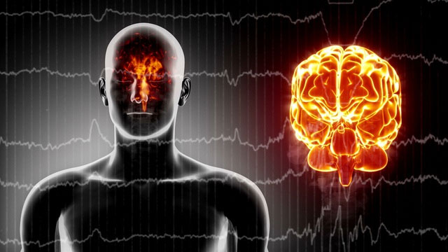 Giải mã bí ẩn não bộ: Con người sẽ được sử dụng được 100% sức mạnh của bộ não?