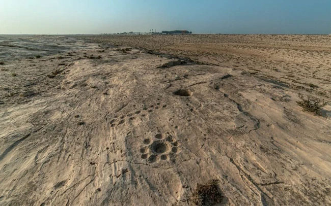 Giải mã bức chạm khắc bí ẩn trên sa mạc tại Qatar