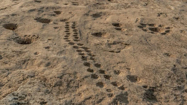 Giải mã bức chạm khắc bí ẩn trên sa mạc tại Qatar