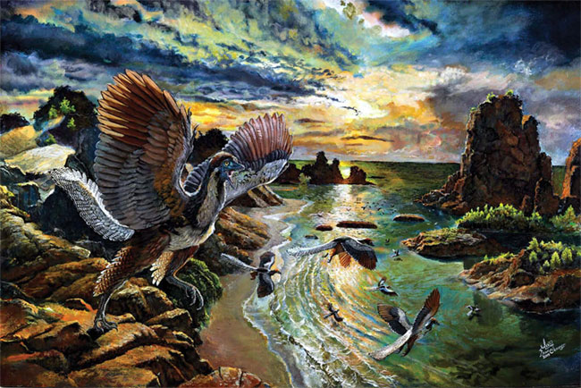 Giải mã hóa thạch chim phát hiện ra loài chưa từng biết đến trên Trái đất