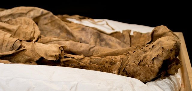 Giải mã xác ướp giám mục được chôn cùng một bào thai cách đây 350 năm