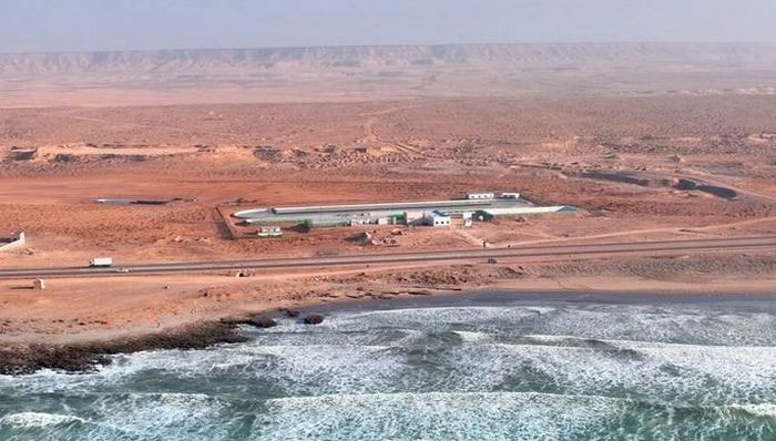 Giải pháp phủ tảo trên sa mạc Sahara