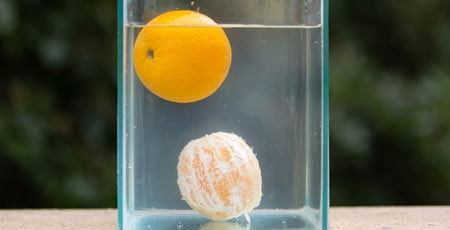 Giải thích thí nghiệm vì sao quả cam không chìm trong nước