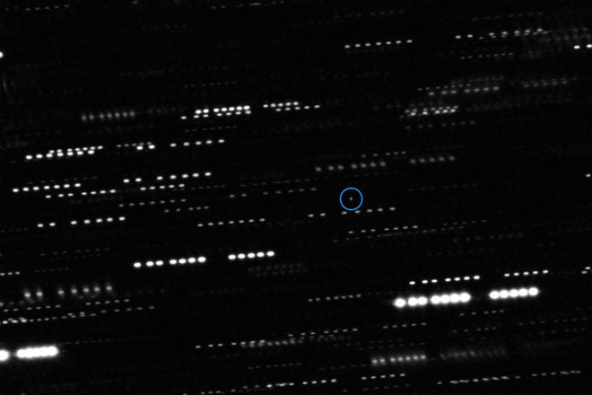 Giáo sư Harvard khẳng định Oumuamua là rác của nền văn minh khác