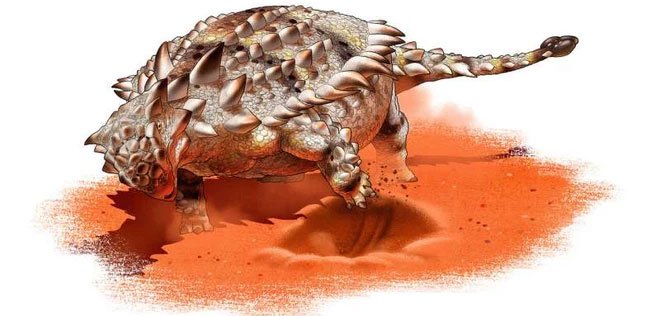 Giáp long đuôi chùy - Ankylosaurid có thể là một loài ưa thích đào bới