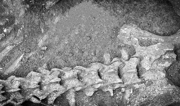 Giật mình với hài cốt khổng lồ trong lăng mộ Trung Quốc 2.100 năm
