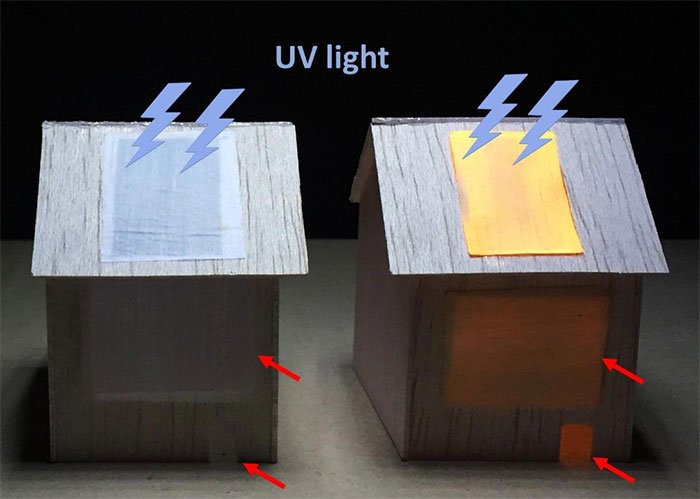 Gỗ sinh học phát quang có thể thắp sáng những ngôi nhà