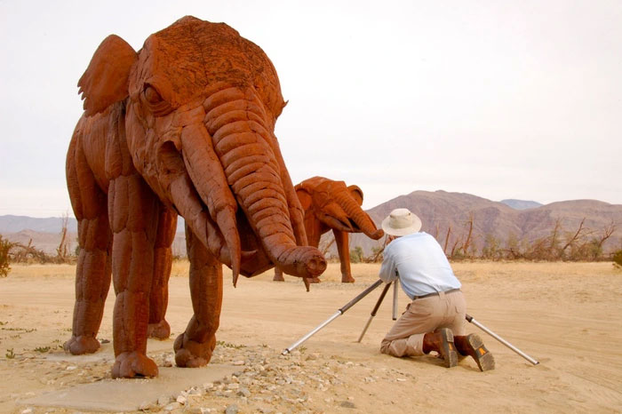 Gomphotheres: Loài voi cổ đại sở hữu đến 4 chiếc ngà