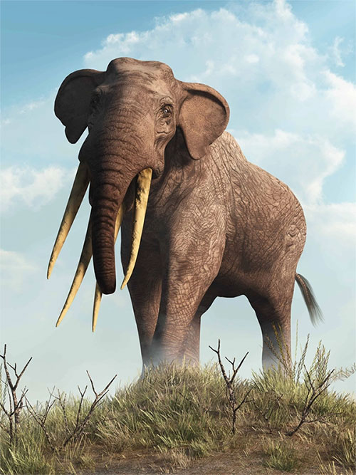 Gomphotheres: Loài voi cổ đại sở hữu đến 4 chiếc ngà