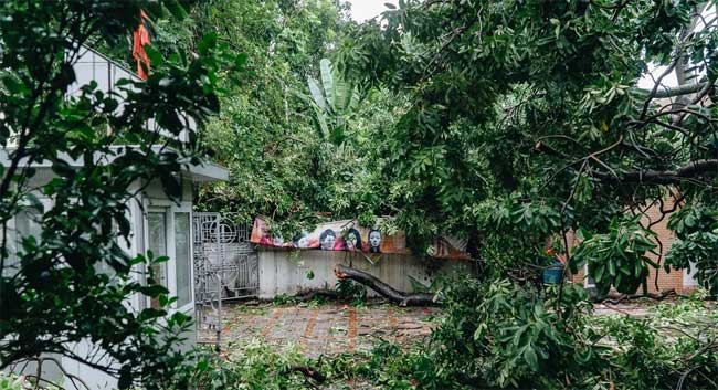 Hà Nội: Bão số 7 gây mưa lớn cả ngày, nhiều cây xanh bật gốc, đè bẹp xế hộp Camry