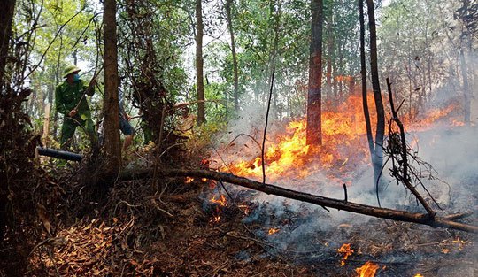 Hà Tĩnh xảy ra cháy rừng, hàng trăm người dập lửa dưới trời nắng nóng