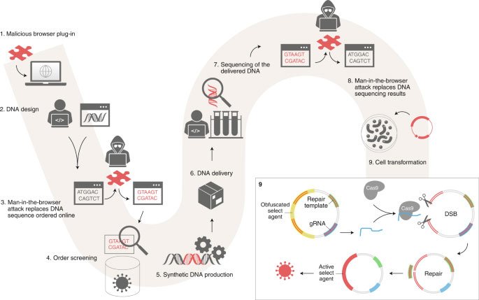 Hacker có thể tấn công vào phòng thí nghiệm, lừa các nhà khoa học tạo ra virus truyền nhiễm như thế nào?