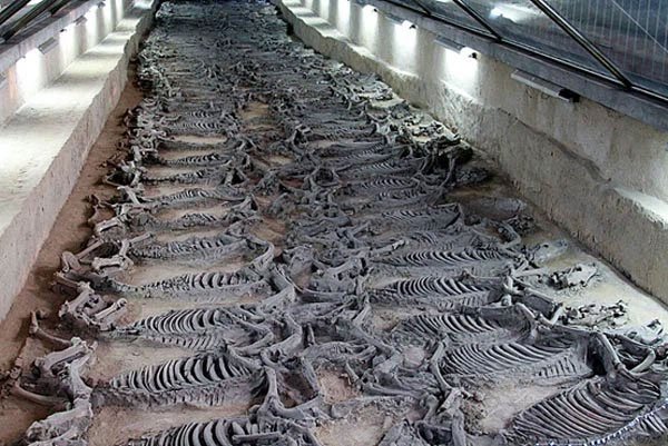 Hãi hùng cách hiến tế 600 chiến mã trong lăng mộ vua Trung Hoa