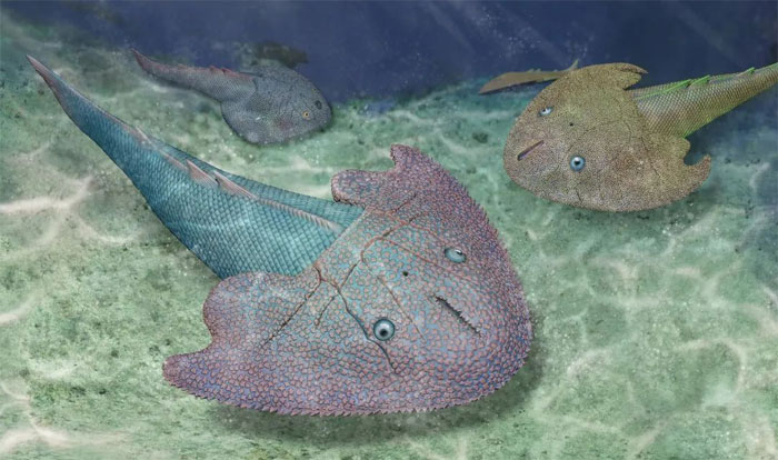 Hàng loạt bất ngờ về quái ngư tồn tại ở Việt Nam 415 triệu năm trước