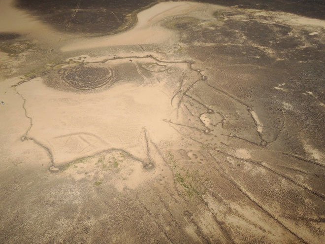 Hàng ngàn cánh diều khổng lồ 9000 năm tuổi rải rác khắp Trung Đông